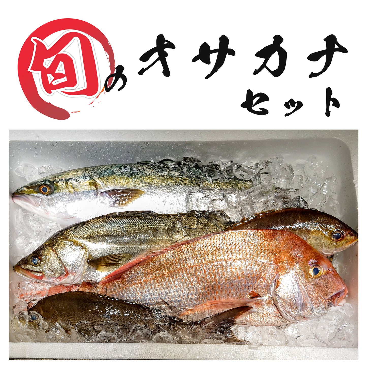 【きょうらく丸】旬のオサカナお試しセット/旬のオサカナ得得セット(送料無料)