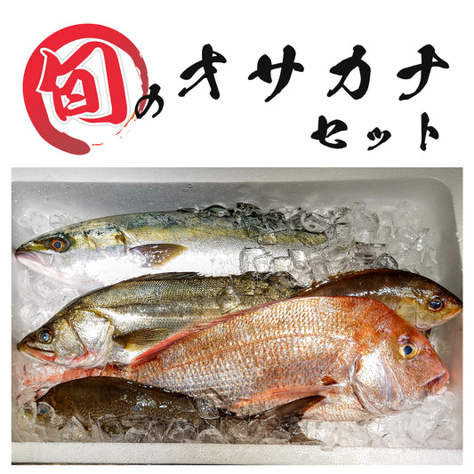 【きょうらく丸】旬のオサカナお試しセット/旬のオサカナ得得セット(送料無料)