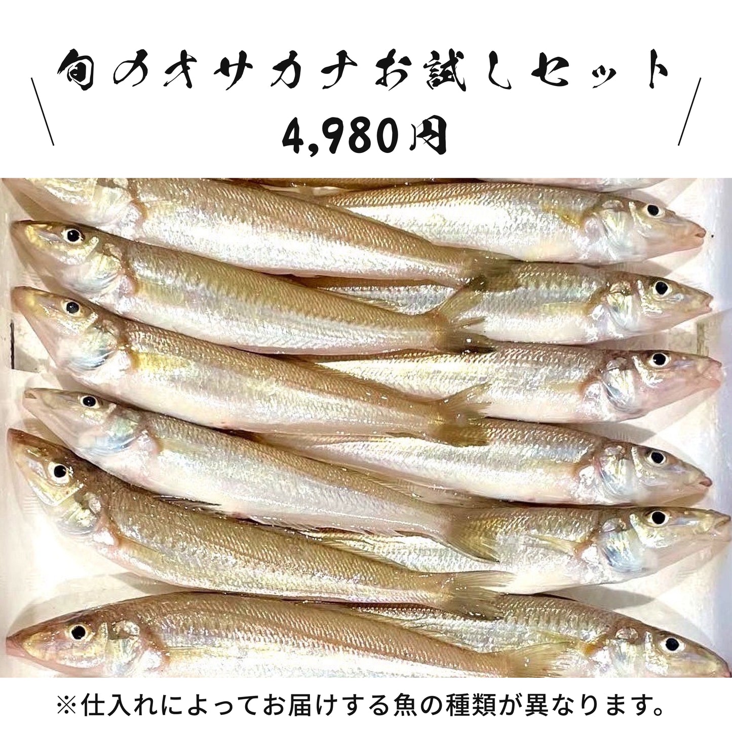 【きょうらく丸】旬のオサカナお試しセット/旬のオサカナ得得セット(送料無料)