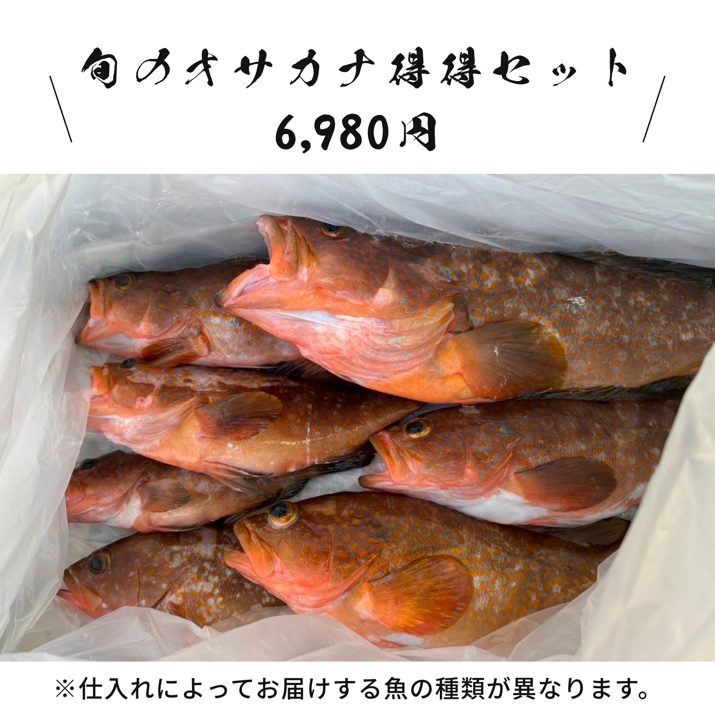 【きょうらく丸】旬のオサカナお試しセット/旬のオサカナ得得セット(送料無料)