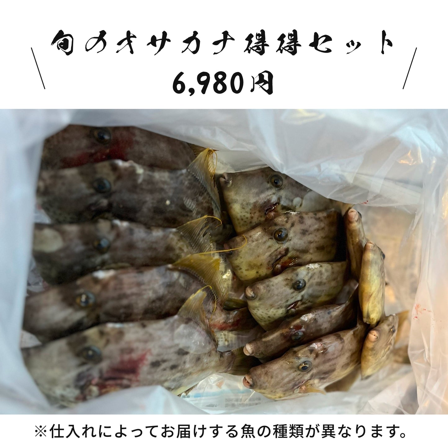 【きょうらく丸】旬のオサカナお試しセット/旬のオサカナ得得セット(送料無料)