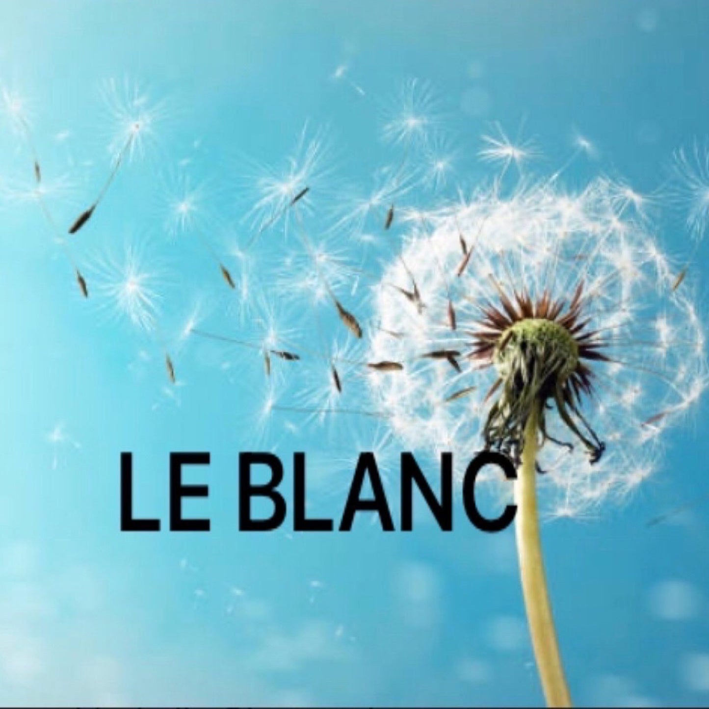 【LE BLANC】アクセスバーズ体験45分