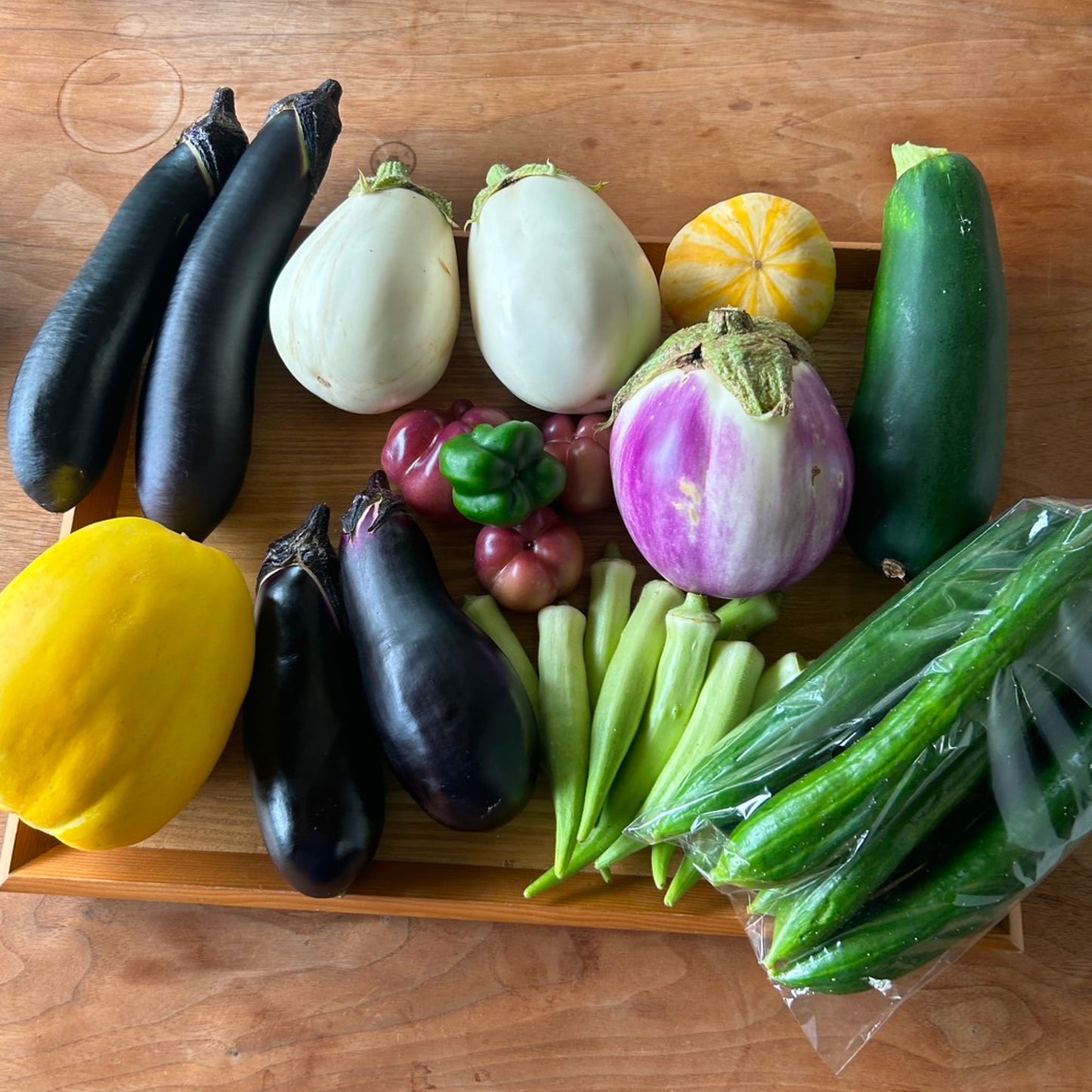 【Nフィールド】お野菜セットM or L (送料無料)