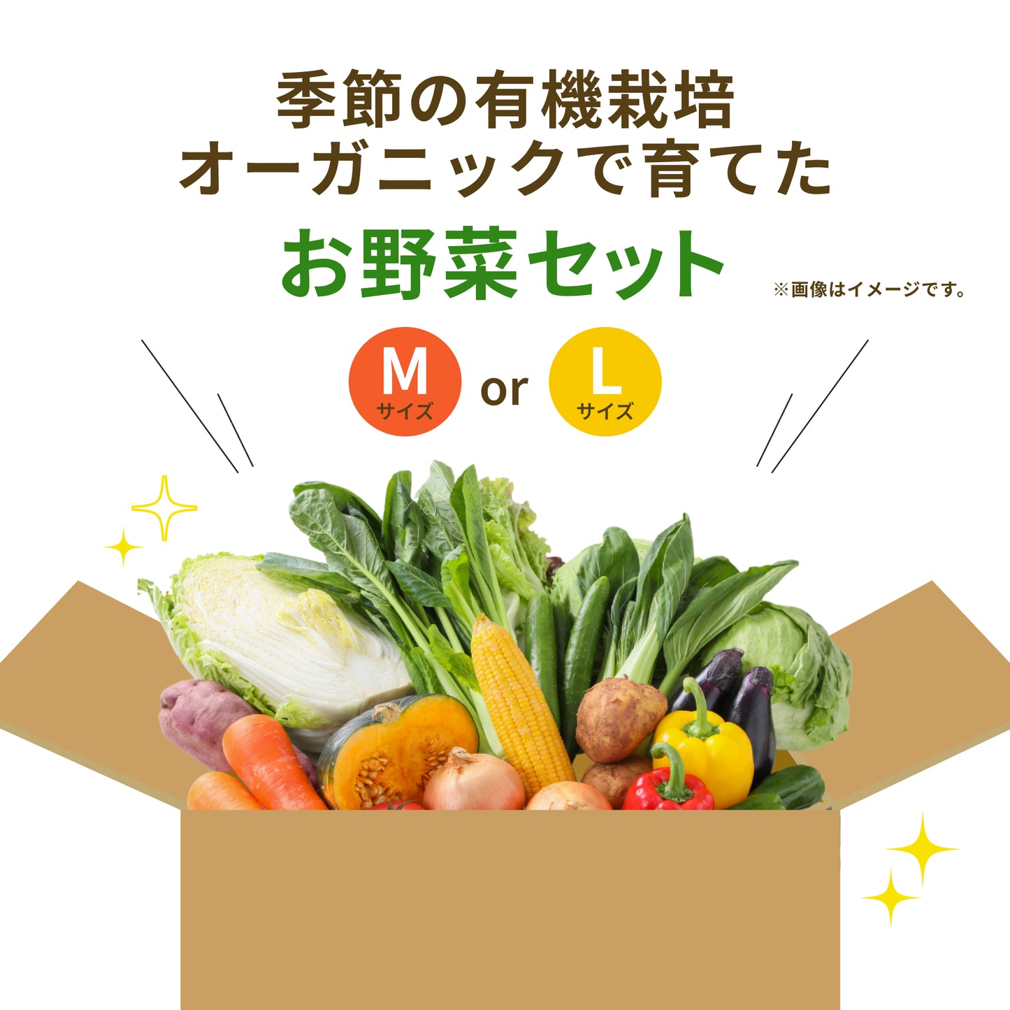 【Nフィールド】お野菜セットM or L (送料無料)