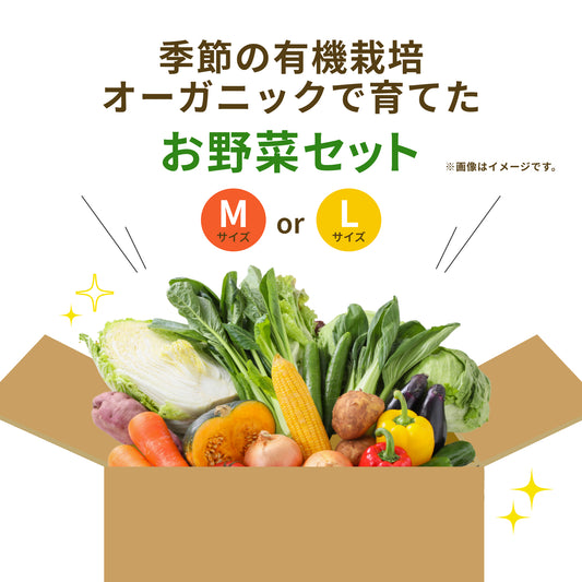 【Nフィールド】お野菜セットM or L (送料無料)