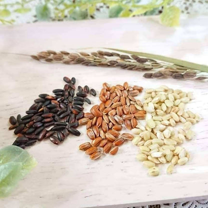 【森のそら】3種の古代米と発芽古代米粉セット(送料無料)