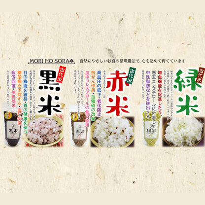 【森のそら】3種の古代米と発芽古代米粉セット(送料無料)